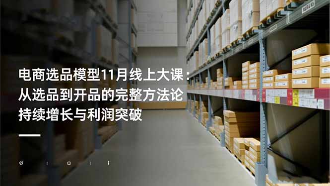 电商选品模型11月线上大课：从选品到开品的完整方法论 持续增长与利润突破-董叔项目网