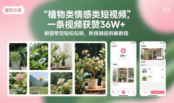 植物类情感类短视频，一条视频获赞36W+，橱窗带货轻松玩转，附保姆级拆解教程-董叔项目网