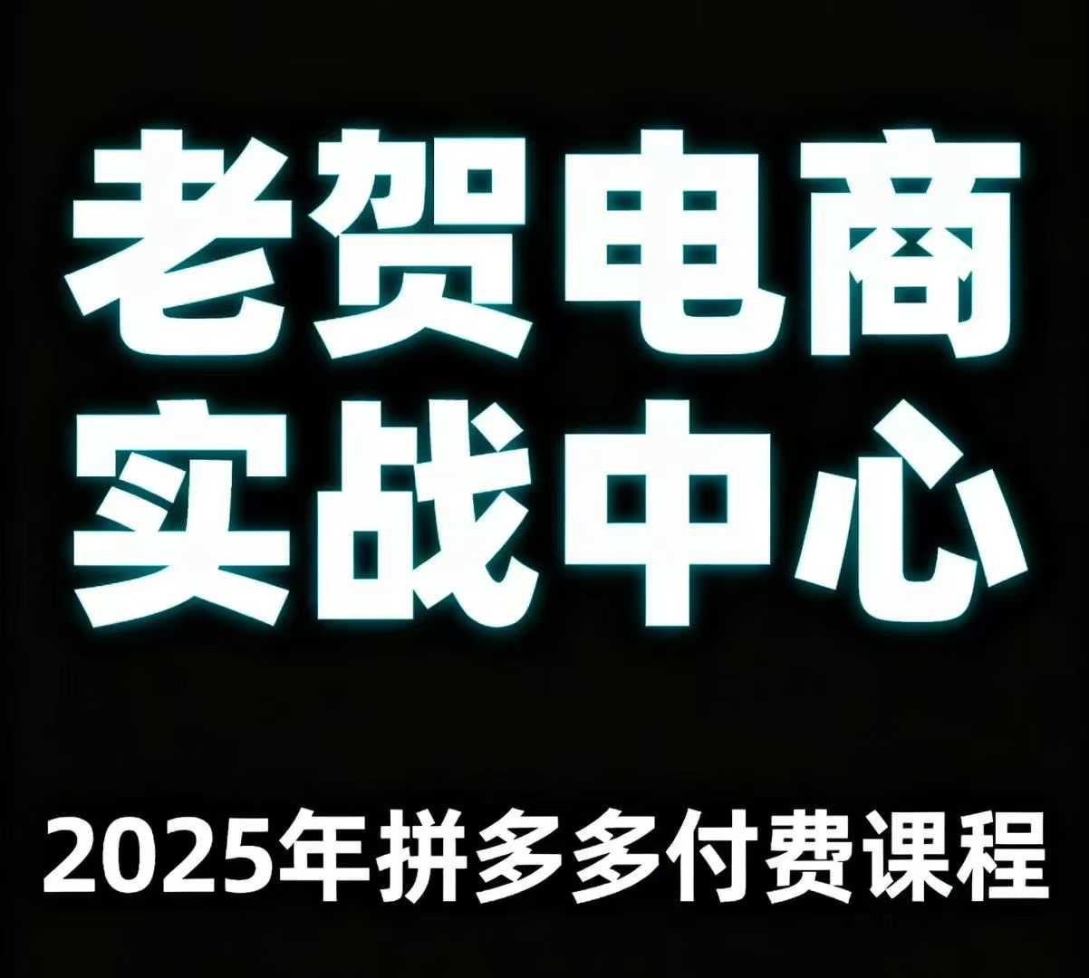 老贺电商2025年拼多多付费课程，用通俗易懂的方法告诉你多多怎么玩-董叔项目网