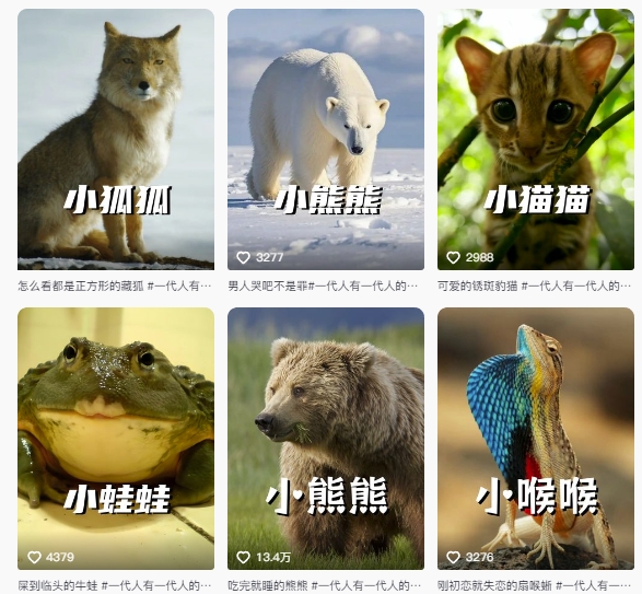 最新搞笑动物百科详细解说课程，蓝海赛道，流量非常大，轻松签独家进精选-董叔项目网