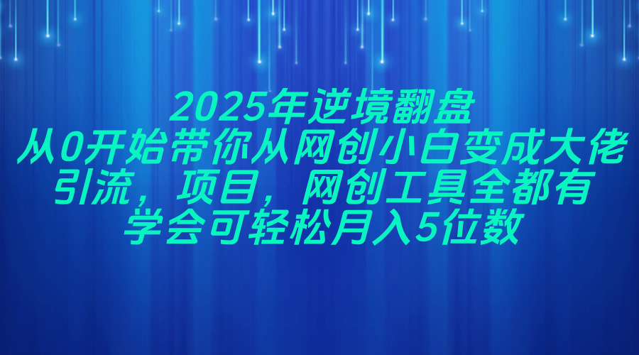 2025年逆境翻盘,从0开始带你从网创小白变成大佬,引流,项目,网创工...-董叔项目网