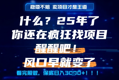 什么？25年你还在疯狂找项目做，醒醒吧，看完这些你全都懂了！【揭秘】-董叔项目网