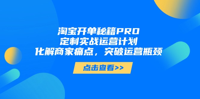 淘宝开单秘籍PRO，定制实战运营计划，化解商家痛点，突破运营瓶颈-董叔项目网