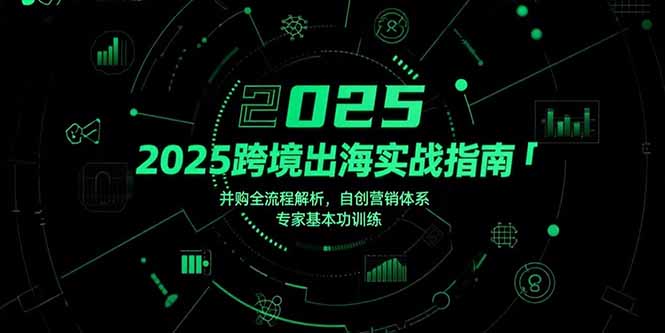 2025跨境出海实战指南，并购全流程解析，自创营销体系，专家基本功训练-董叔项目网