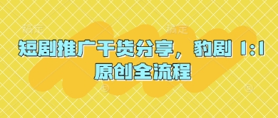 短剧推广干货分享，豹剧 1:1原创全流程-董叔项目网
