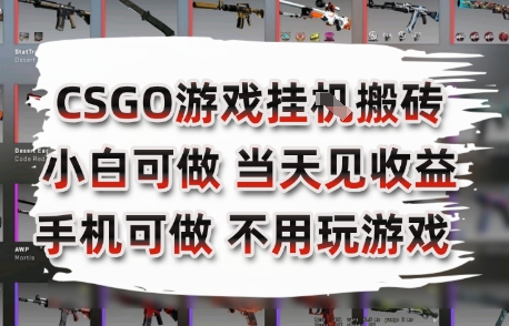 CSGO游戏挂G搬砖，小白纯手机即可操作，不用电脑打游戏，日入3张+，副业网创项目【揭秘】-董叔项目网