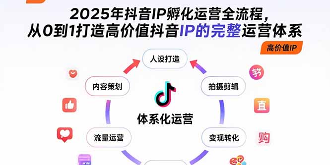 2025年抖音IP孵化运营全流程,从0到1打造高价值抖音IP的完整运营体系-董叔项目网