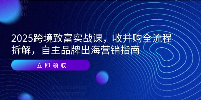 2025跨境致富实战课，收并购全流程拆解，自主品牌出海营销指南-董叔项目网