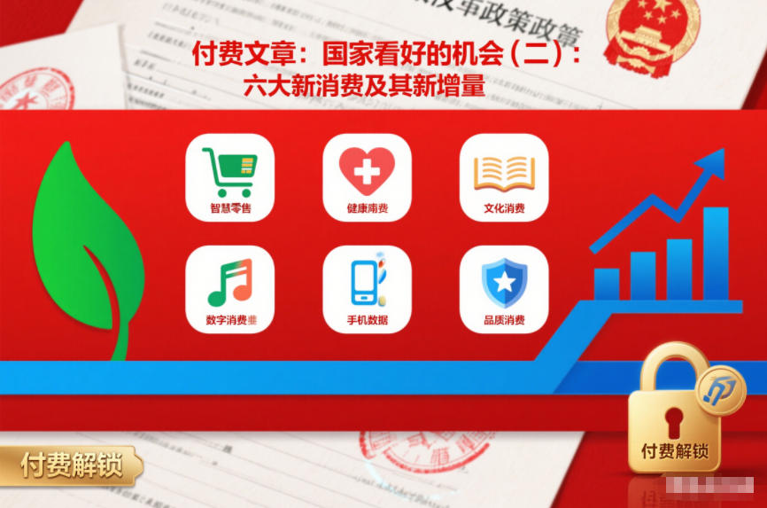 付费文章：国家看好的机会(二)：六大新消费及其新增量-董叔项目网