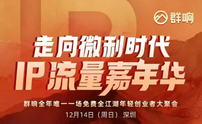 2025ip嘉年华万人12月14深圳线下课，走向微利时代，IP流量嘉年华，实操性极强的商业干货课-董叔项目网