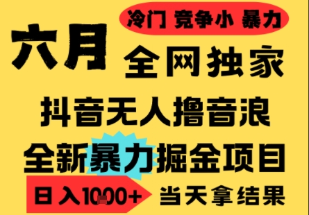 25年6月高爆抖音无人直播最新撸音浪掘金项目，小白可做，无脑日入1k+，门槛低可批量矩阵【揭秘】-董叔项目网