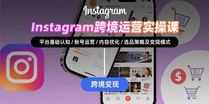 Instagram跨境运营实战:平台认知/账号运营/内容优化/选品策略及变现模式-董叔项目网