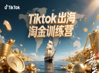 Tiktok出海淘金训练营，跨境电商TK实战变现-董叔项目网
