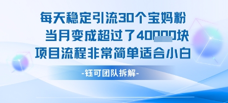 每天稳定引流30个人 当月变成超过了4个W项目流程非常简单适合小白-董叔项目网