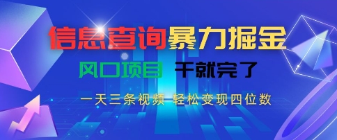 信息查询暴力掘金，一天三条视频，轻松变现四位数，风口项目干就完了【揭秘】-董叔项目网