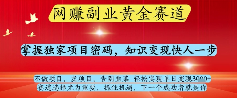 网创副业黄全赛道，掌握独家项目密码，知识变现快人一步，告别韭菜轻松实现单日变现1k+【揭秘】-董叔项目网