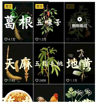 抖音中草药赛道,用AI做中草药故事视频,45条作品涨粉13W,橱窗带货猛猛出单-董叔项目网
