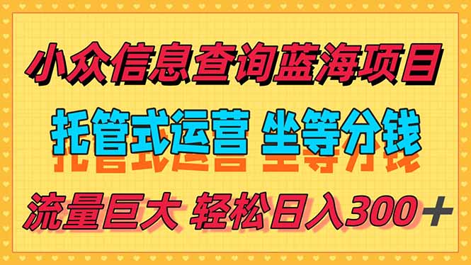 稳定日入300＋，小众信息查询蓝海项目，全程懒人式托管，解放你的时间-董叔项目网