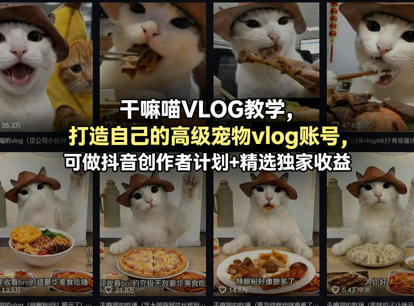 干嘛喵VLOG教学,打造自己的高级宠物vlog账号,可做抖音创作者计划+精选独家收益-董叔项目网