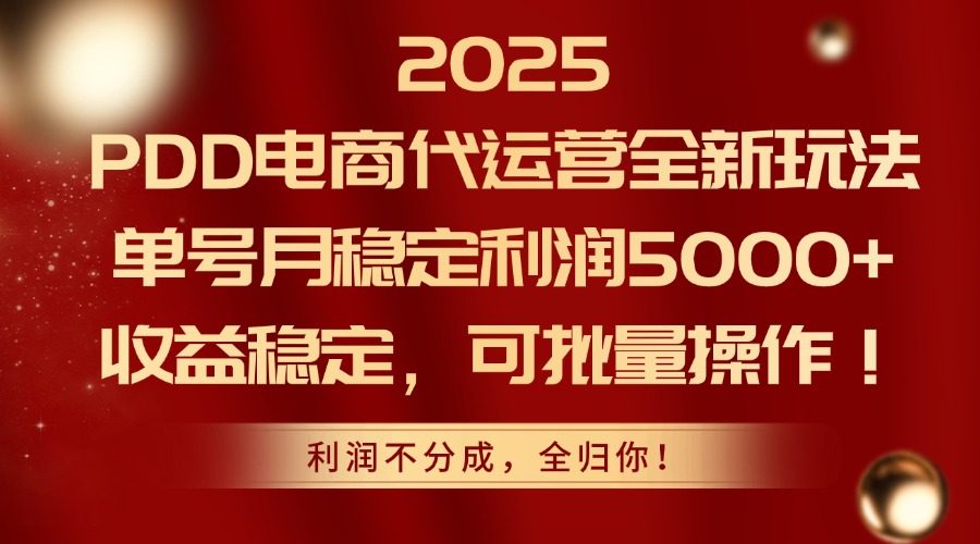 2025PDD电商代运营全新玩法,单号月稳定利润5000+,收益稳定,可批量操作-董叔项目网