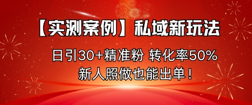 【实测案例】私域新玩法，日引30+精准粉，转化率50%，新人照做也能出单！-董叔项目网