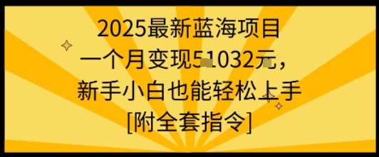 2025最新蓝海项目一个月变现1w+新手小白也能轻松上手【附全套指令】-董叔项目网