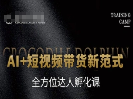 AI+短视频带货新范式,全方位达人孵化课-董叔项目网