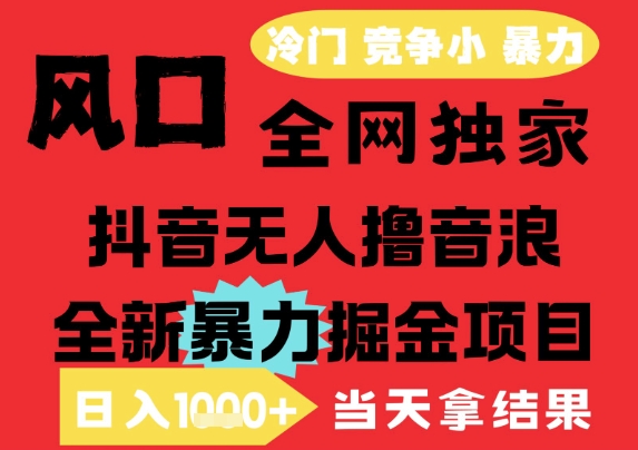 25年6月高爆抖音无人直播最新撸音浪掘金项目，解放双手小白可做，无脑日入1k+，门槛低【揭秘】-董叔项目网