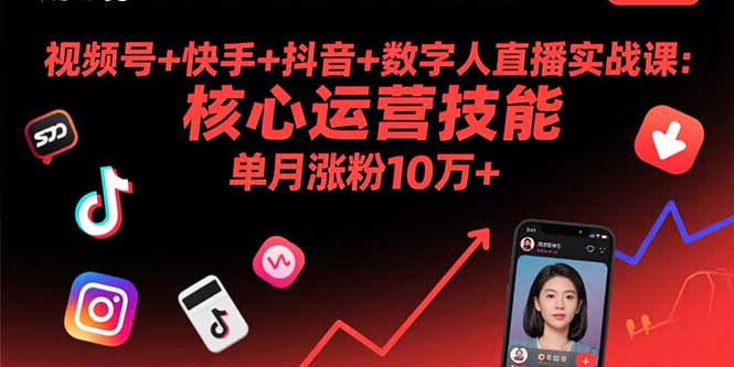 视频号+快手+抖音+数字人直播实战课(9月-董叔项目网