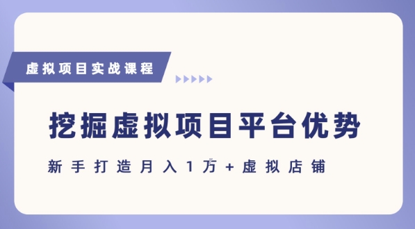 抓住虚拟项目各平台优势，新手轻松月入1W+(给出具体建议)-董叔项目网