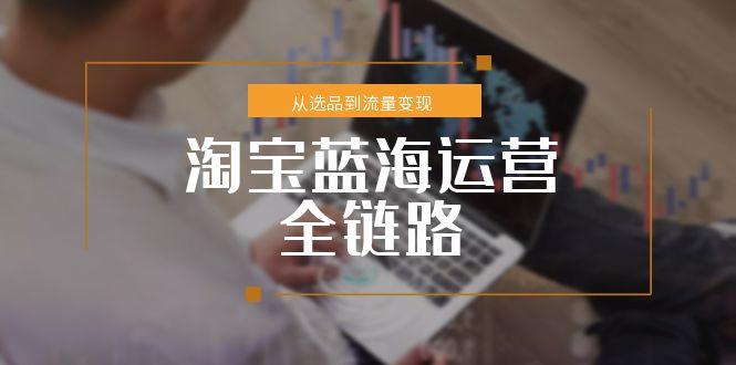 淘宝蓝海运营全链路，从选品到流量变现，小类目突围完整方案-董叔项目网