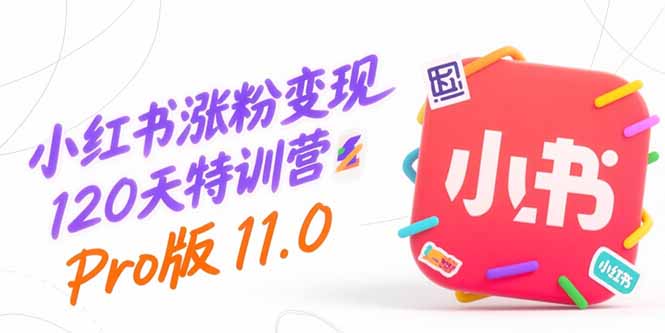 小红书涨粉变现120天特训营Pro版11.0：从0到1掌握平台运营,内容制作和变现-董叔项目网