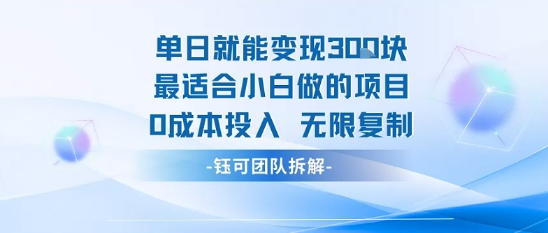 单日就能变现3张最适合小白做的项目0成本投入 无限复制-董叔项目网