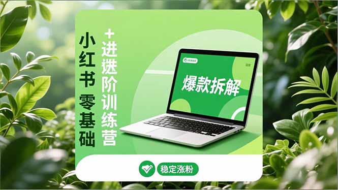 小红书零基础+高阶训练营:安全养号、爆款拆解、长效运营,实现稳定涨粉与变现-董叔项目网