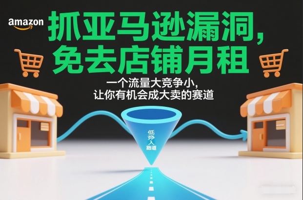 抓亚马逊漏洞,免去店铺月租,一个流量大竞争小,让你有机会成大卖的赛道-董叔项目网