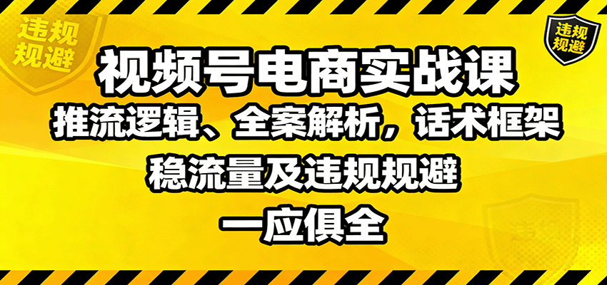 视频号电商实战课：推流逻辑、全案解析，话术框架，稳流量及违规规避等-董叔项目网