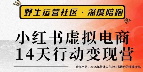 小红书虚拟电商14天变现训练营3.0，​虚拟产品，2025年普通人在小红书最后的搞钱机会-董叔项目网
