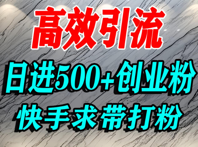 怎么打创业粉?快手求带视角精准引流创业粉,宝妈、学生群体日进500+精准流量-董叔项目网
