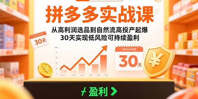 拼多多实战课:从高利润选品到自然流高投产起爆 30天实现低风险可持续盈利-董叔项目网