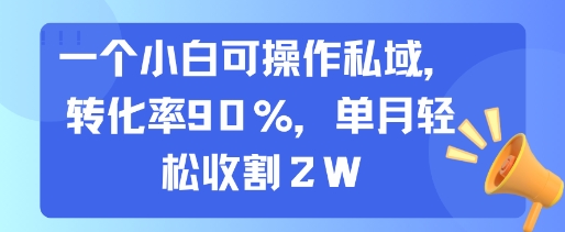 一个小白可操作私域，转化率90%，单月轻松收割2W-董叔项目网