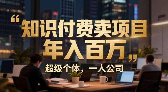 从0到年入百万:超级个体实战心得公开,个人IP×精准引流×成交系统全拆解-董叔项目网