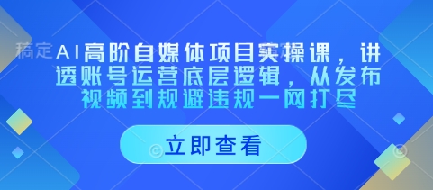 AI高阶自媒体项目实操课,讲透账号运营底层逻辑,从发布视频到规避违规一网打尽-董叔项目网