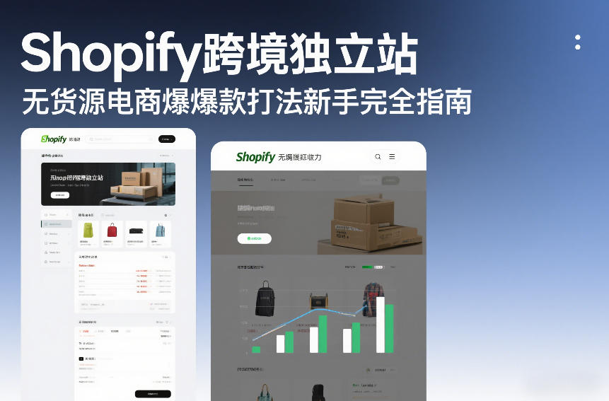 Shopify跨境独立站无货源电商爆款打法新手完全指南-董叔项目网