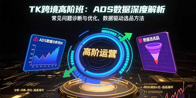 TK跨境高阶班：ADS数据深度解析，常见问题诊断与优化，数据驱动选品方法-董叔项目网
