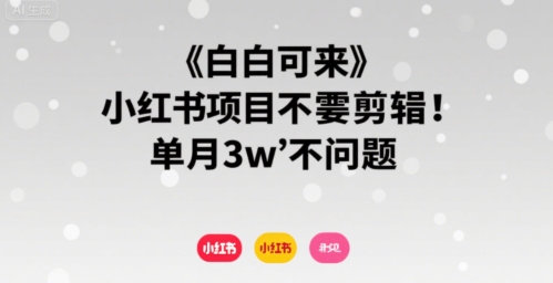 小白可来 小红书项目不需要剪辑 单月3w不是问题-董叔项目网