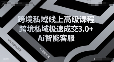 跨境私域线上高级课程，跨境私域极速成交3.0+Ai智能客服-董叔项目网