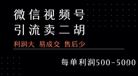 视频号卖二胡教程，利润大 易成交 售后少，一单利润5张+-董叔项目网