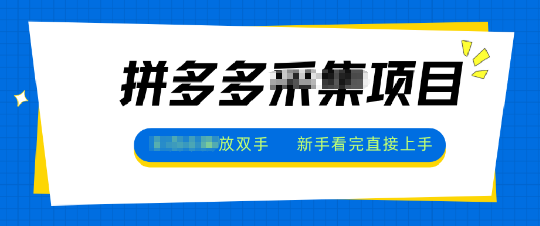 拼多多电商采集，一小时50+，操作简单，零投资-董叔项目网