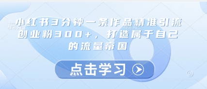 小红书3分钟一条作品精准引流创业粉300+,打造属于自己的流量帝国-董叔项目网