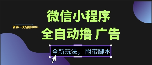 微信小程序全自动撸广告项目，彻底解决没流量的问题，新手一天8张+【揭秘】-董叔项目网